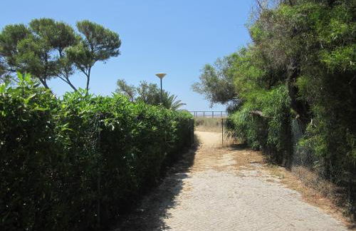 Torralta Apartment - Photo 39