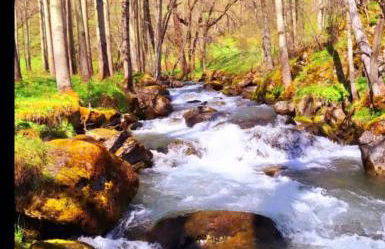 El Molino de Nocedo - Foto 32