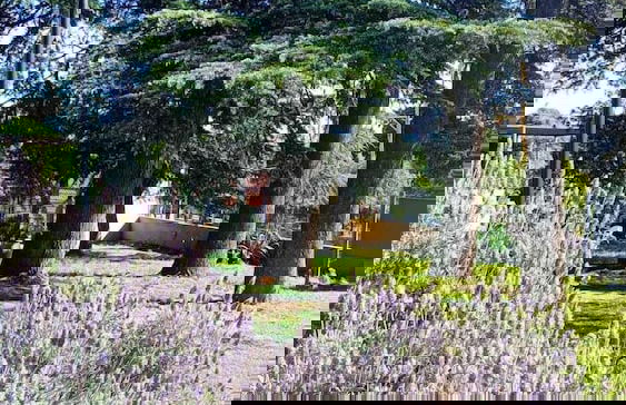 Posada Spa La Arabela - Foto 28