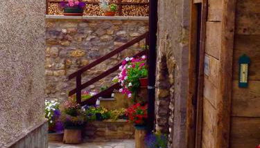 Charming, cozy, and bright apartment - Photo 3