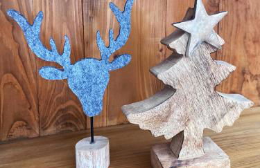 Le Chat Perché - Appartements 3 étoiles spacieux et chaleureux à Allemond - Foto 21