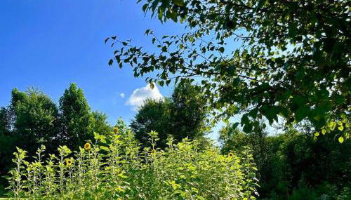 #4 Kentucky Bourbon Trail Bourbon Barrel Cottages - Foto 5