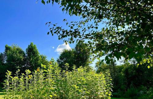 #4 Kentucky Bourbon Trail Bourbon Barrel Cottages - Foto 5