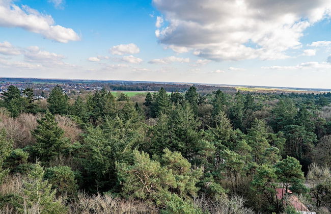 Cosy Holiday Home in Appelscha With Garden - Foto 54