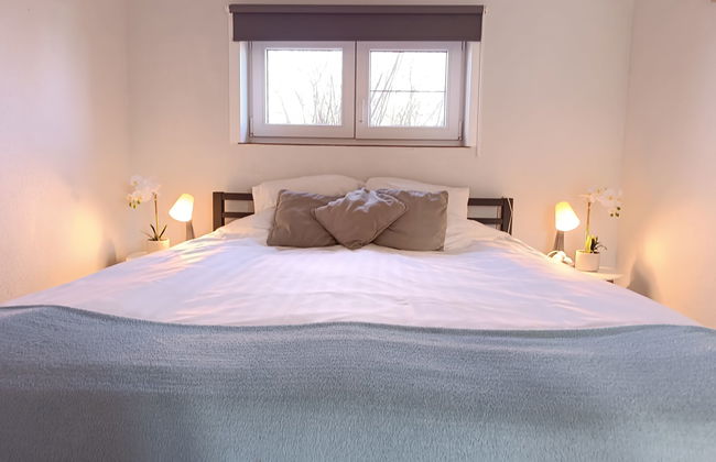 Duinenhuisje 25 parking and shared pool - Photo 23