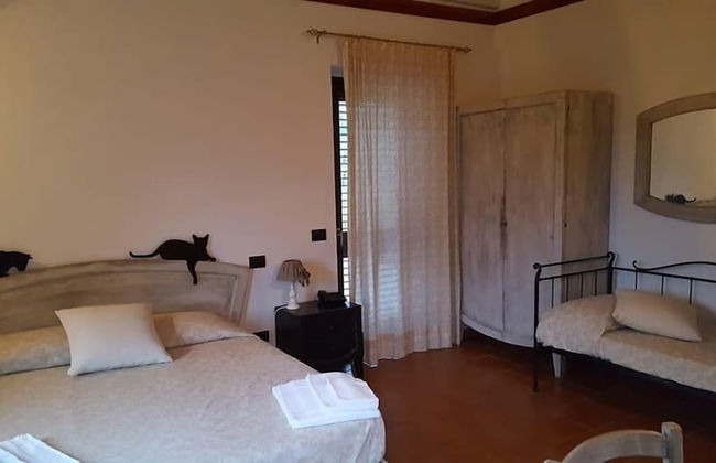 Agriturismo Podere Montese - Foto 30