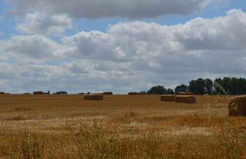 Grande Maison de Campagne avec Jardin Clos, Proche Levroux, 12 Pers., Châteaux, Zoo de Beauval - FR-1-591-176 - Foto 18