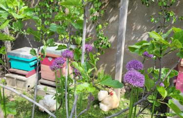 TINY HOUSE Cosy 1 - Angers Green Lodge - Foto 20