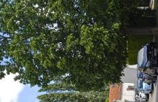 LE PHENIX à internet haut débit & parking - Foto 30