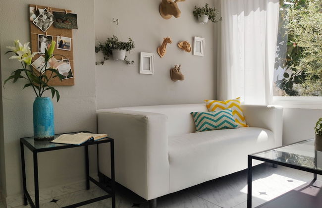 Apartamentos Sureda - Foto 48