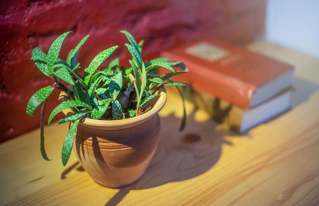 H&B apartments Sartichala - Foto 20