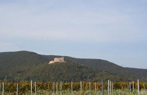 Ferienwohnung Spatzennest in Edesheim - Foto 17