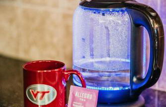 Mount Tabor Ranch near VT - King Bed/Fast Wi-Fi - Foto 40