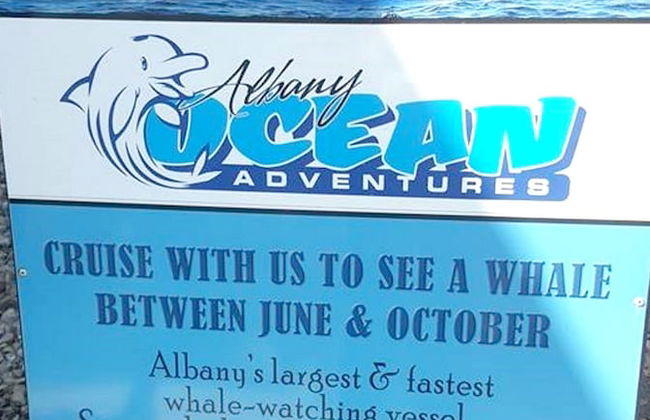 Havana Villas - Foto 47