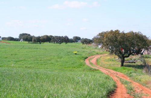Monte da Boavista - Country family house - Foto 68