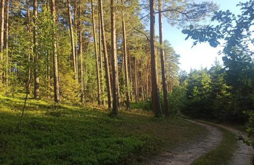 Apartament Mrągowo 3 jeziora - Foto 25