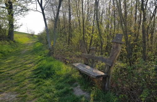 Ferienapartment im Augustinus Park - Foto 16