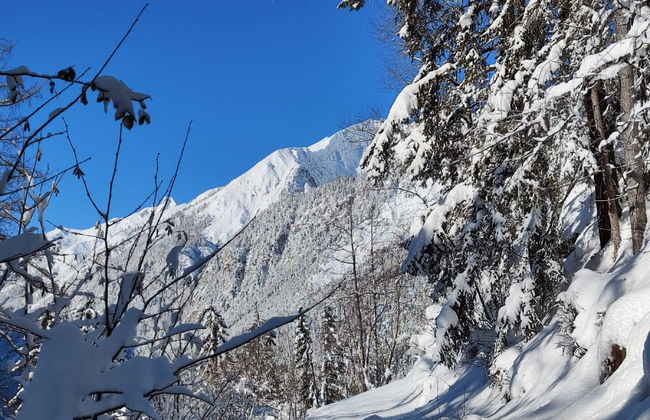 Lieblingsplatz - Foto 37