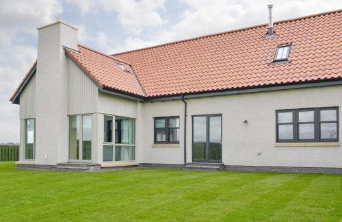 The Haymakers - Photo 10