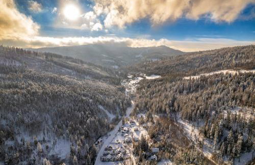 LEŚNE ZACISZE Wisła - Jacuzzi, Bacówka, Niesamowite Widoki - Foto 37