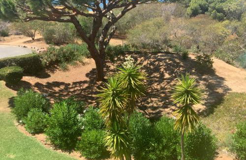 Praia da Falésia Alfa Mar Albufeira - Foto 9