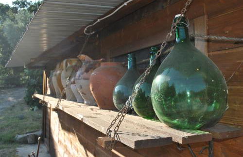 Azienda Agricola Biologica La Cardellina - Foto 42