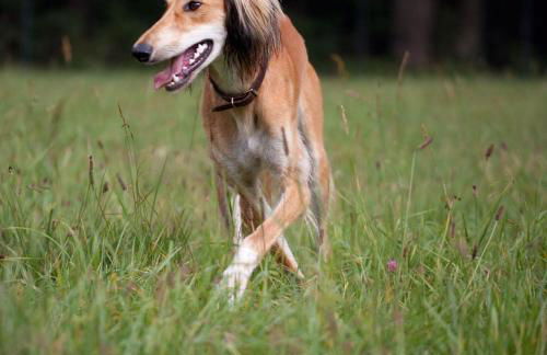 Chalet Valley - Foto 68