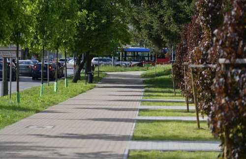 Czartoryskich 7 - 3 pok - parking podziemny w cenie !!! - Foto 12