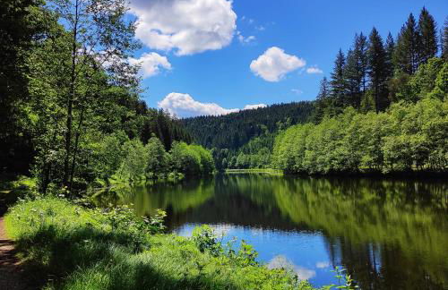 Hofstub´n - Foto 43