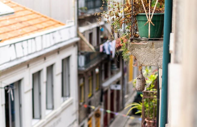 Merc Porto Downtown - Foto 20