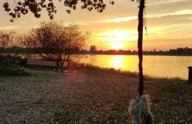 Inselhof Steengrafe - Weserblick - Foto 10