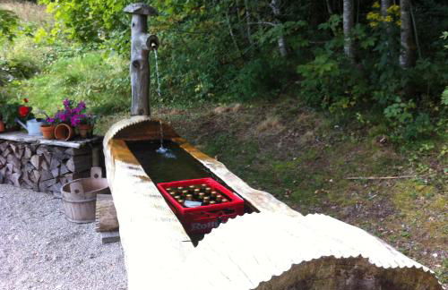 Ferienwohnung Waldblick - Foto 20