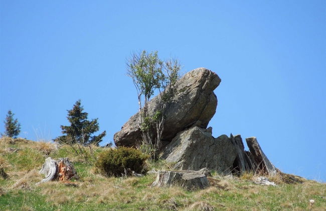 Chalet in Sankt Andra Near Koralpe Ski Area - Foto 40