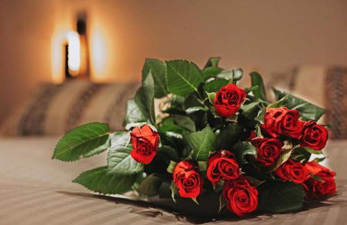 îlot cosy and SPA -PROCHE ZOO BEAUVAL - Foto 16