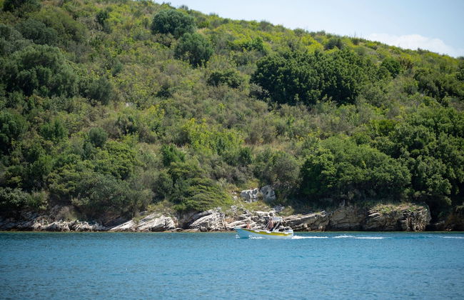 Bee Tree Villa in Corfu - Photo 42