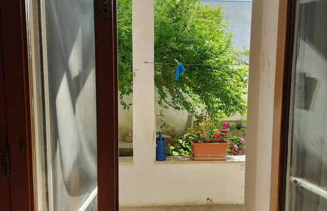 Guest House Salentojoy - Foto 1