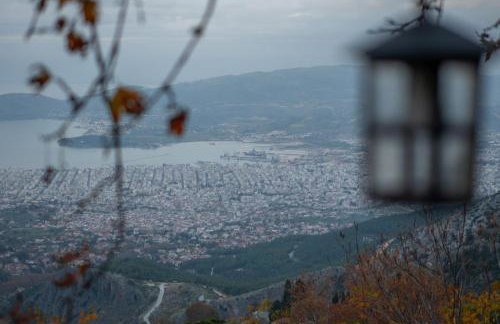 Toma's House - Foto 36