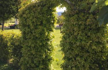 Podere Gabry - Foto 29