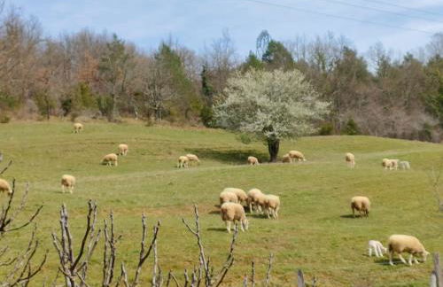 Gîte au coeur du Plantaurel - Foto 6