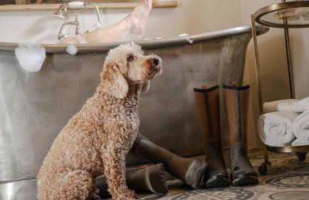 Host & Stay - Tin Bath - Foto 12