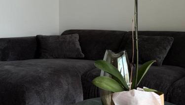 Terra Loft 2 - Foto 5