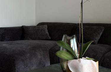 Terra Loft 2 - Foto 5