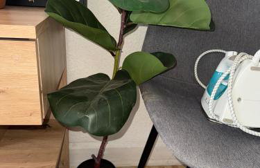 Urban Nest Prime 3BR with Spacious Hall & Kitchen apartment - Foto 8