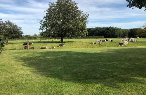 Claydon Courtyard - Photo 14