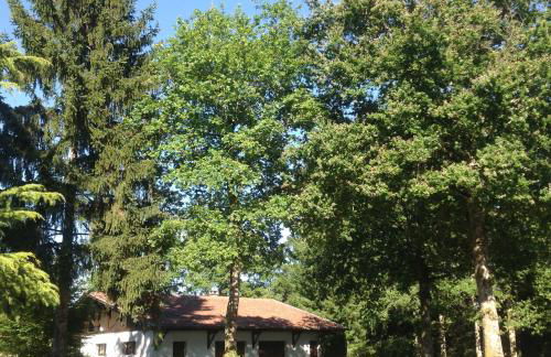 L’Etang Carp fishing lake and Gite - Foto 10