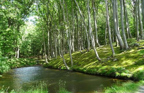 Appartement Werft & Meer - Foto 32