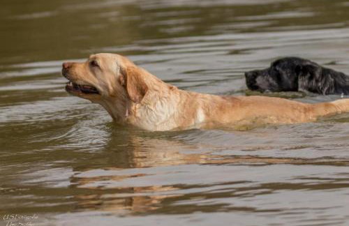 Ferienhaus Honey Bee - Foto 32