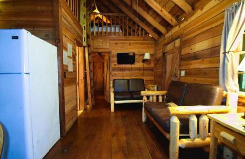 South Fork cabin at Cabin Fever in NC - Foto 24