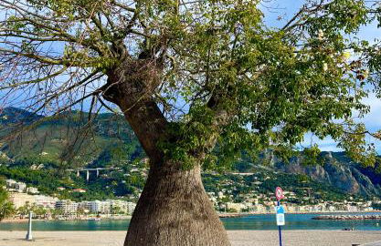 Entre Ciel et Mer - Foto 19