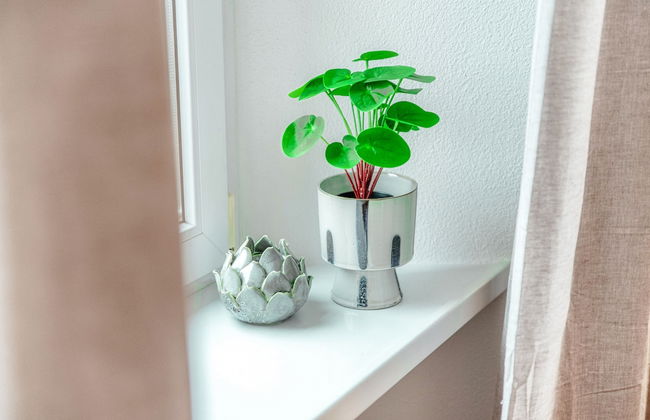 Salorino Apartments - Foto 52